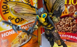 Cosmic Legions Anthophilees